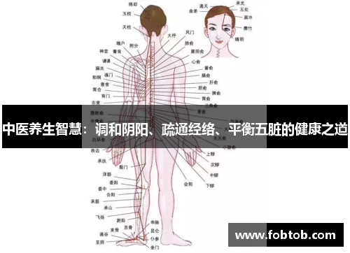 中医养生智慧：调和阴阳、疏通经络、平衡五脏的健康之道