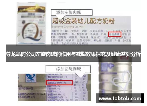 尊龙凯时公司左旋肉碱的作用与减脂效果探究及健康益处分析