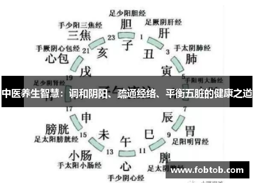 中医养生智慧：调和阴阳、疏通经络、平衡五脏的健康之道